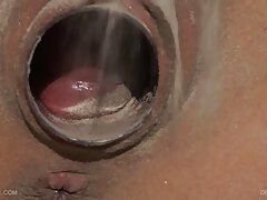 دختر زیبا ناز یک خروس بزرگ را در دهان خود می گیرد و آن را به ارگاسم فیلم خارجی سگسی می آورد